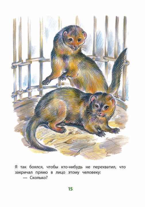Житков. Рассказы о животных. Книга за книгой (тв.).
