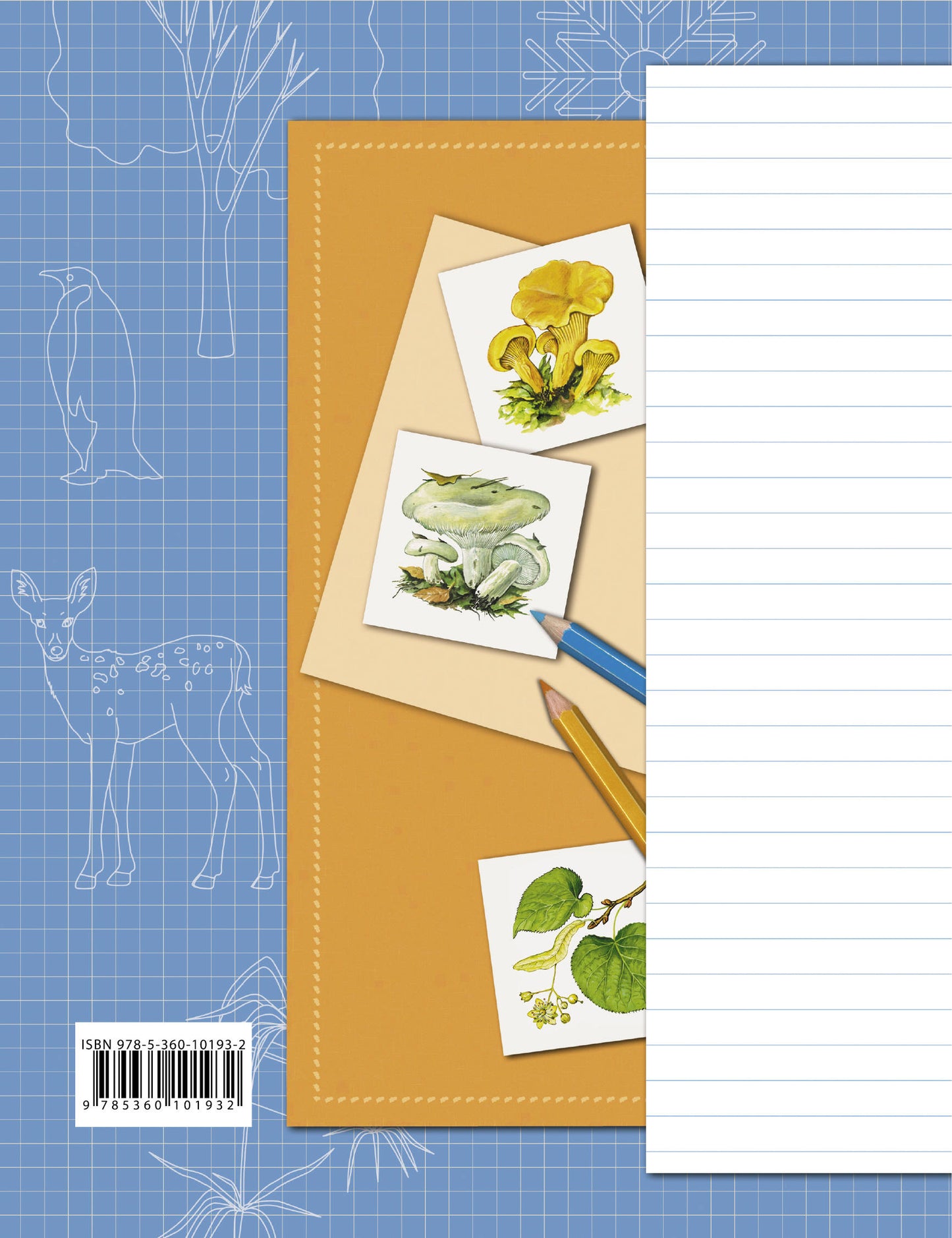 Окружающий мир. 3 класс. Рабочая тетрадь №1.