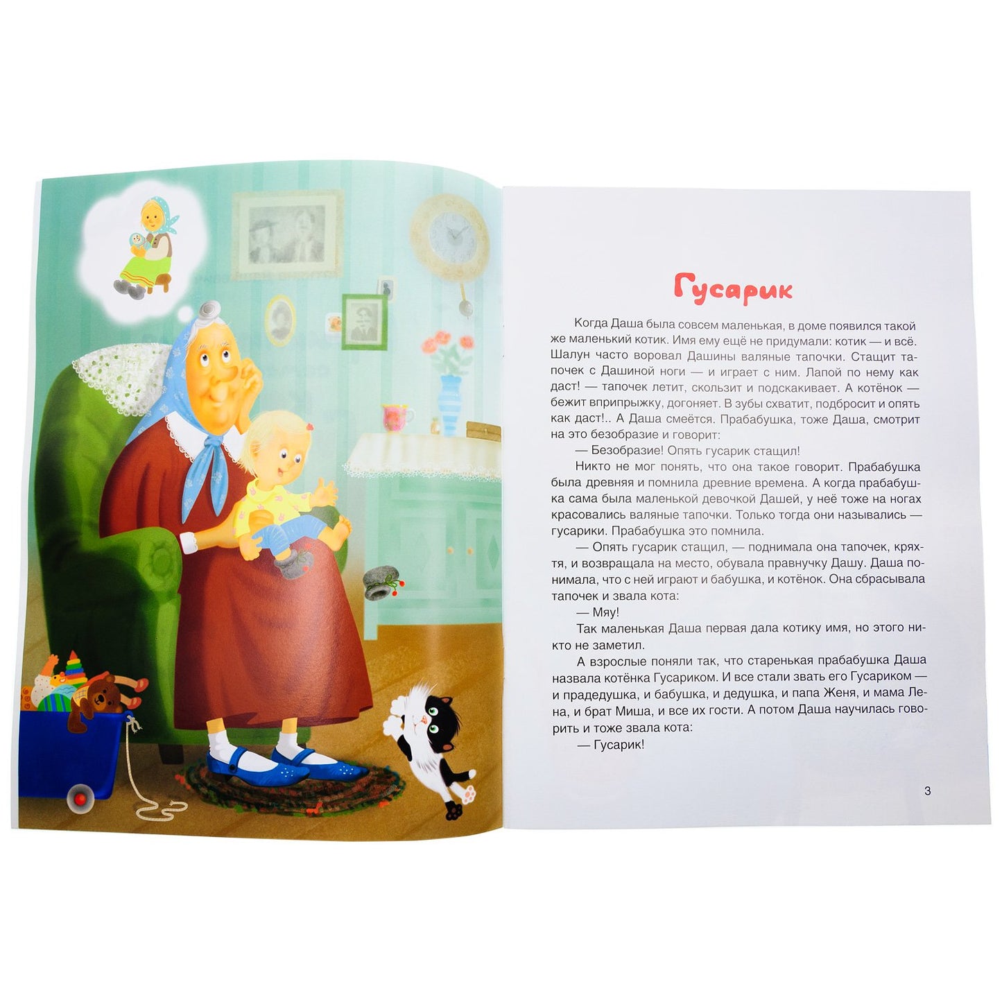 Приключения семейного кота Гусарика