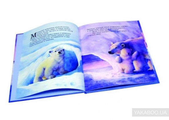 Как Медвежонок солнце искал