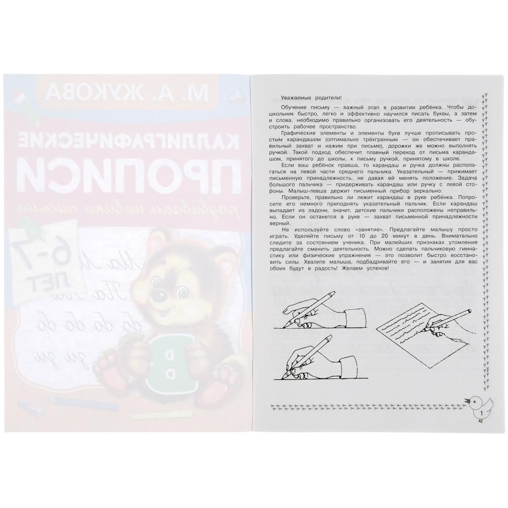 311080Развиваем навыки письма 6-7 лет. М.А. Жукова. Каллиграфические прописи. 48 стр. Умка в кор.50