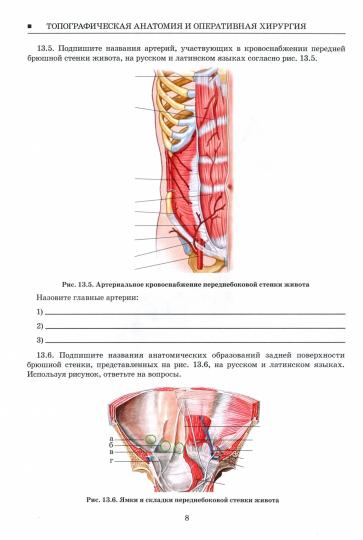 Топографическая анатомия и оперативная хирургия : рабочая тетрадь. В 2 ч. Ч. II / под ред. С. С. Дыдыкина, Т. А. Богоявленской. — Москва : ГЭОТАР-Медиа, 2021. — 112 с. : ил. — DOI: 10.33029/9704-5625-5-TOP-2020-1-112.