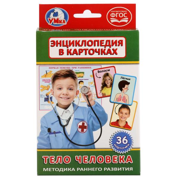 КАРТОЧКИ РАЗВИВАЮЩИЕ "УМКА" ТЕЛО ЧЕЛОВЕКА (36 КАРТОЧЕК) В КОР. в кор.50шт