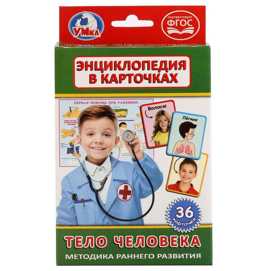 КАРТОЧКИ РАЗВИВАЮЩИЕ "УМКА" ТЕЛО ЧЕЛОВЕКА (36 КАРТОЧЕК) В КОР. в кор.50шт