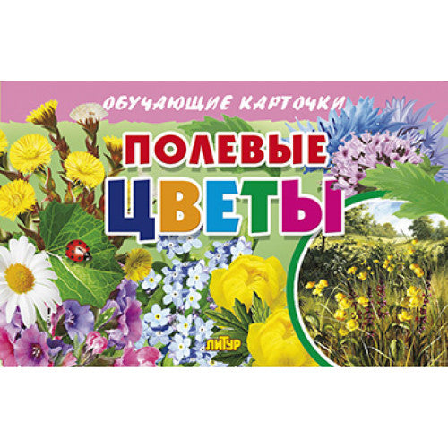 Карточки. Полевые цветы ; Карточки. Полевые цветы