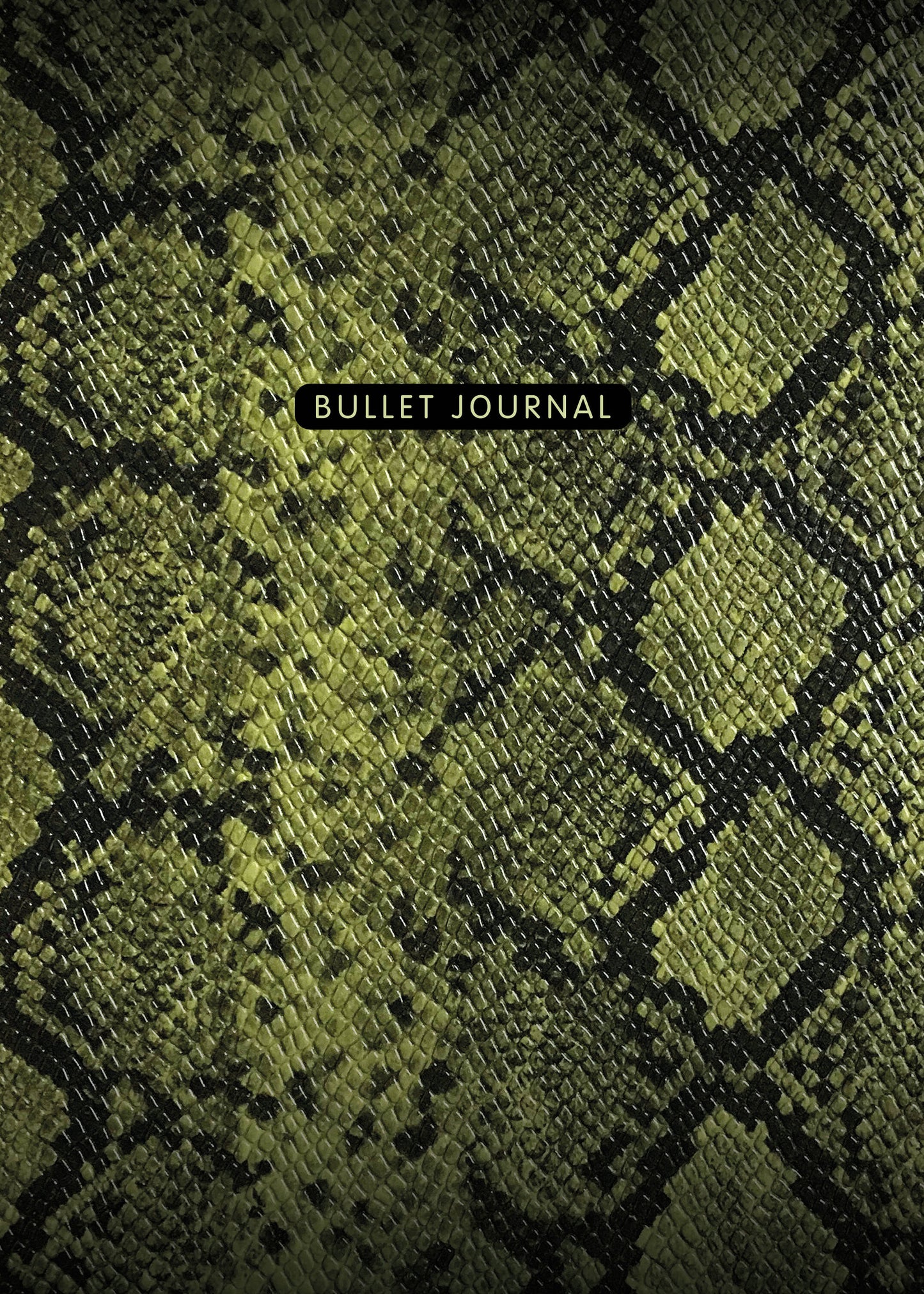 Блокнот в точку: Bullet Journal (змея, 120 c., пружина)
