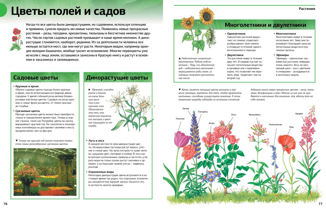 Новая энциклопедия школьника