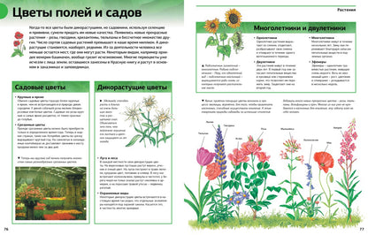 Новая энциклопедия школьника