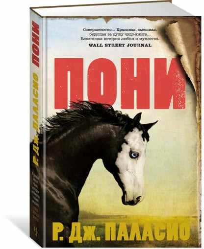 Пони