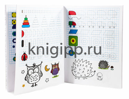 ВСЕ ПРОПИСИ А5. ГОТОВИМ РУКУ К ПИСЬМУ