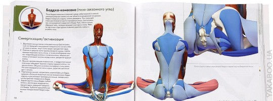 Ключевые позы йоги