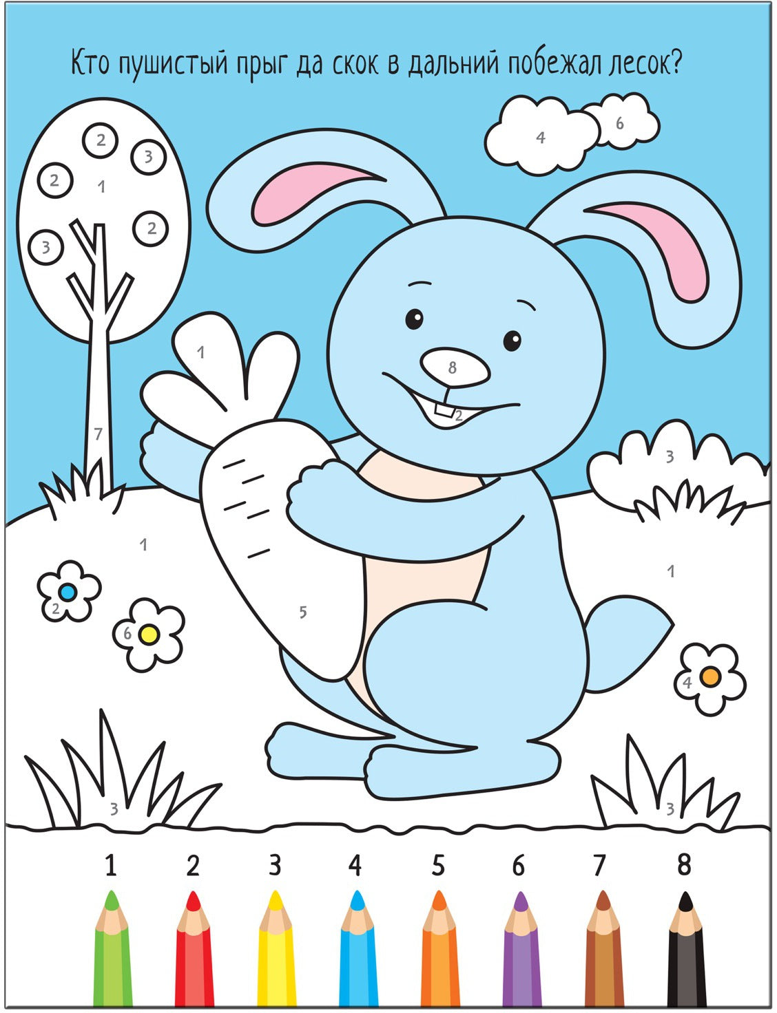 Раскрашиваем по цифрам. В лесу