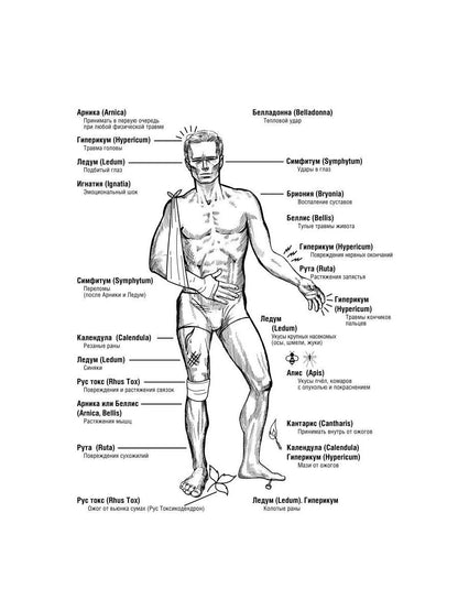 Гомеопатия: История, критика, практика