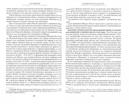 Литовское государство. От возникновения в XIII веке до союза с Польшей и образования Речи Посполитой