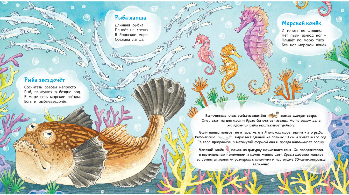 Морской звездочёт и другие удивительные рыбы (ожидается поступление)
