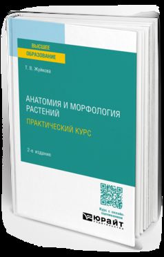 АНАТОМИЯ И МОРФОЛОГИЯ РАСТЕНИЙ. ПРАКТИЧЕСКИЙ КУРС 2-е изд., пер. и доп. Учебное пособие для вузов