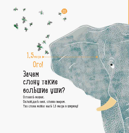 Професор карапуз: О чем думает слон? (р)