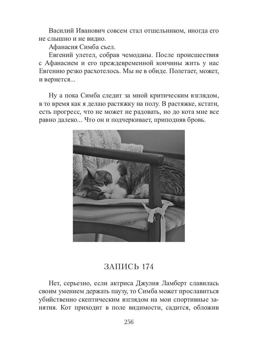 Кот, Домовой и Василий Иванович