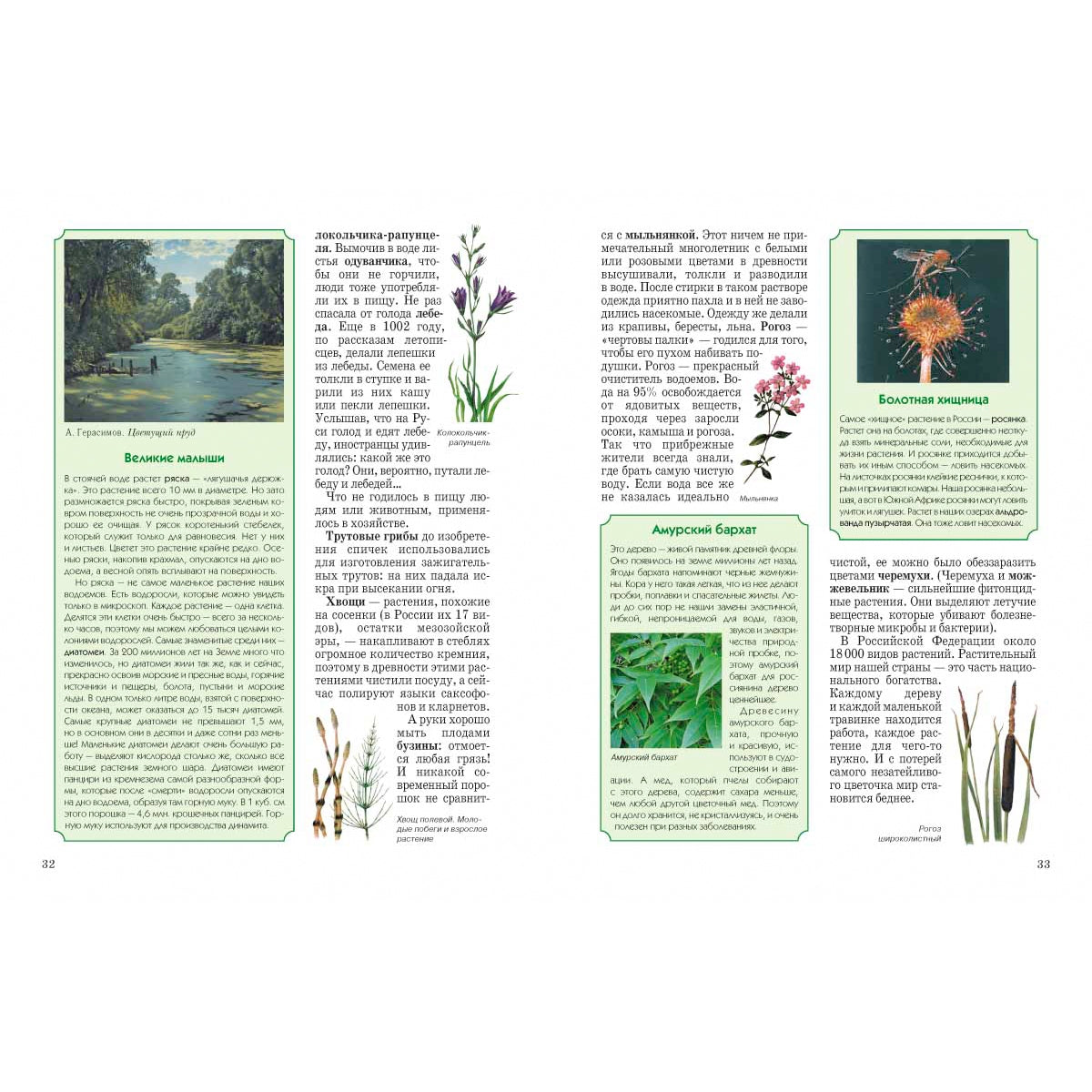 Природа России