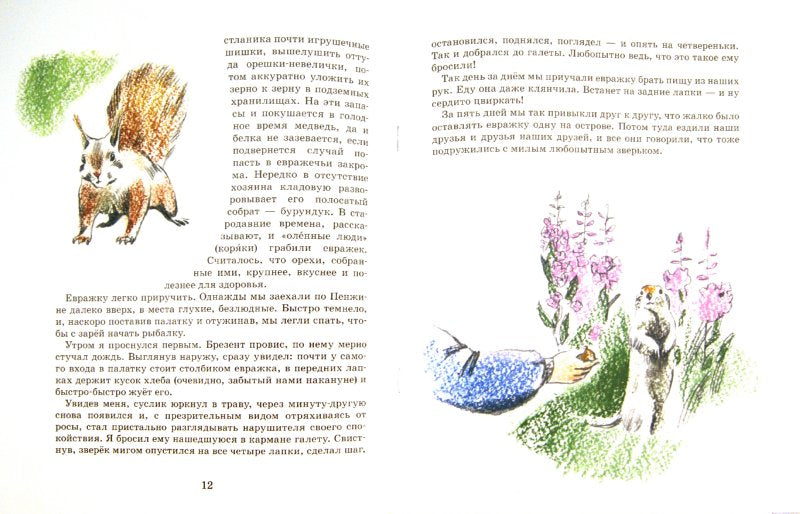 Заяц в море. Рассказы о Северной Камчатке. 2-е изд. Вып. 32