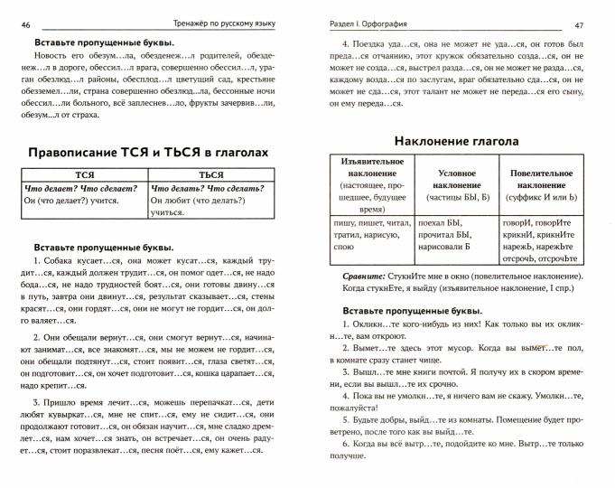 Тренажер по русскому языку. Орфография. Пунктуация. Орфоэпия
