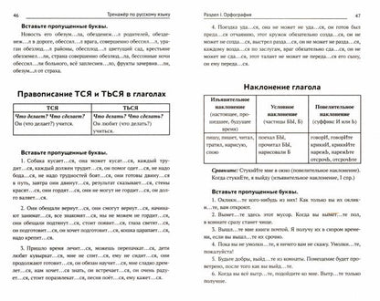 Тренажер по русскому языку. Орфография. Пунктуация. Орфоэпия