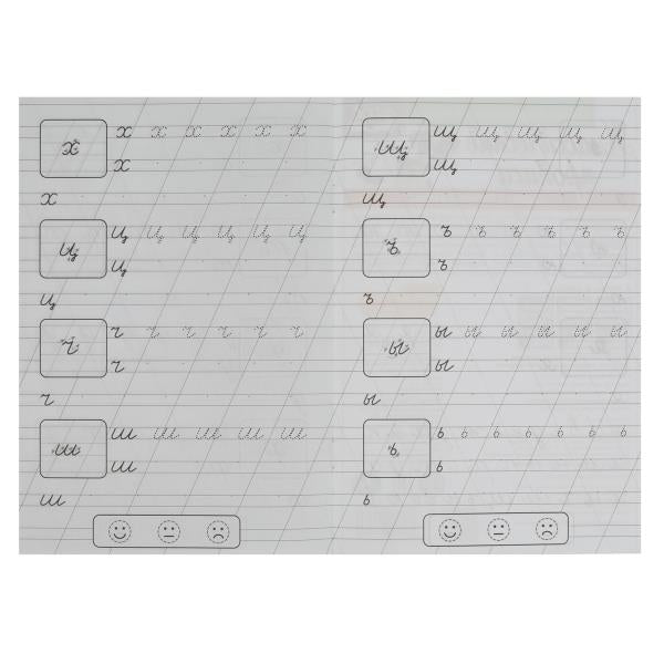 Пишем строчные буквы. Жукова М.А. Propriétés classiques. 145х210мм. Скрепка. 8 pièces. Умка в кор.100шт