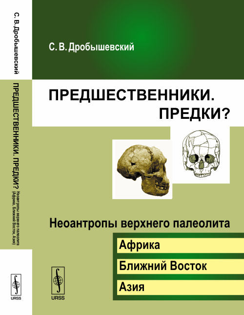 Предшественники. Предки? Часть 6. Неоантропы верхнего палеолита (Африка, Ближний Восток, Азия)