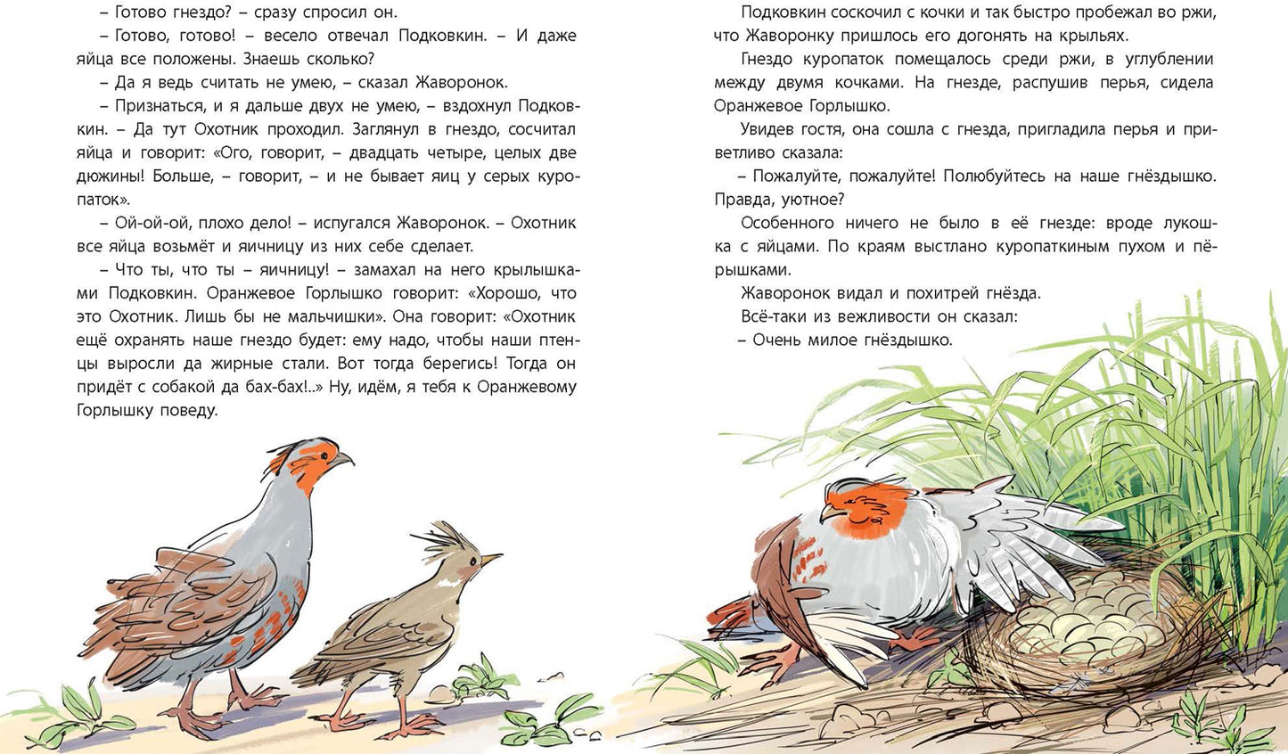 Оранжевое Горлышко: сказки (допечатка в типографии)