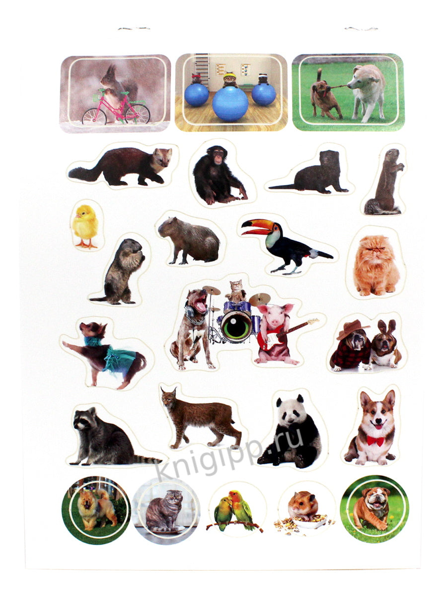 100 НАКЛЕЕК. ЗАБАВНЫЕ ЖИВОТНЫЕ