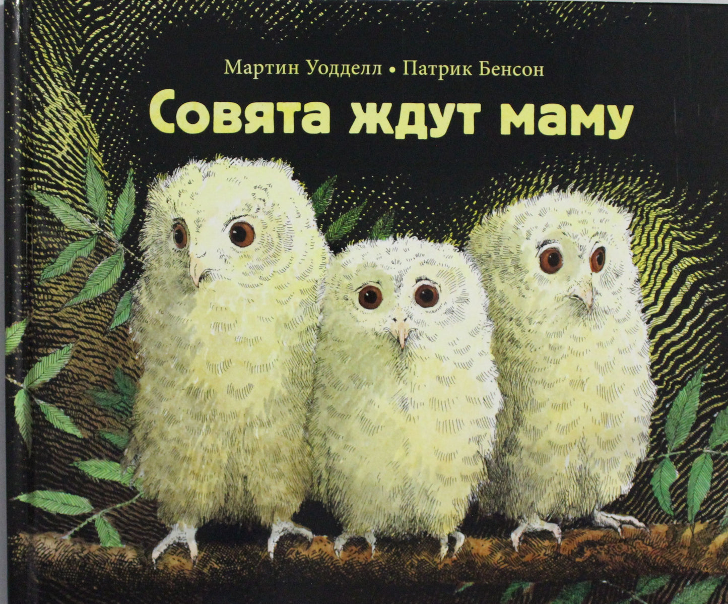 П.Совята ждут маму
