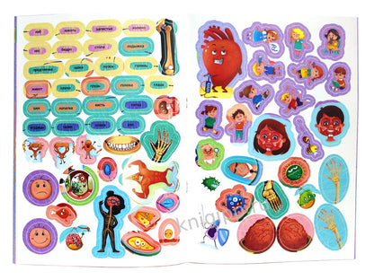 Атлас. Тело человека