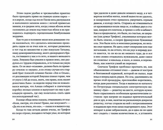 Полупрозрачный палимпсест: рассказы, эссе и заметки
