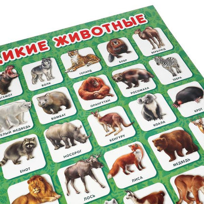 Дикие животные. Плакат А2. Умка уп-10шт в кор.5уп