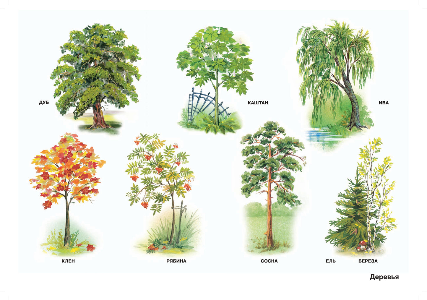 Мир природы. Растения. Конспекты занятий к серии демонстрац.плакатов для развития первичных естественно-научных предст.у дошк.: нагл.-дидакт. пособие.4-7л.ФГОС.