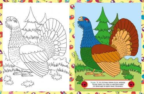 Птицы. Детская раскраска