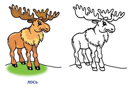 Раскраска. Дикие животные. 2-4 года.