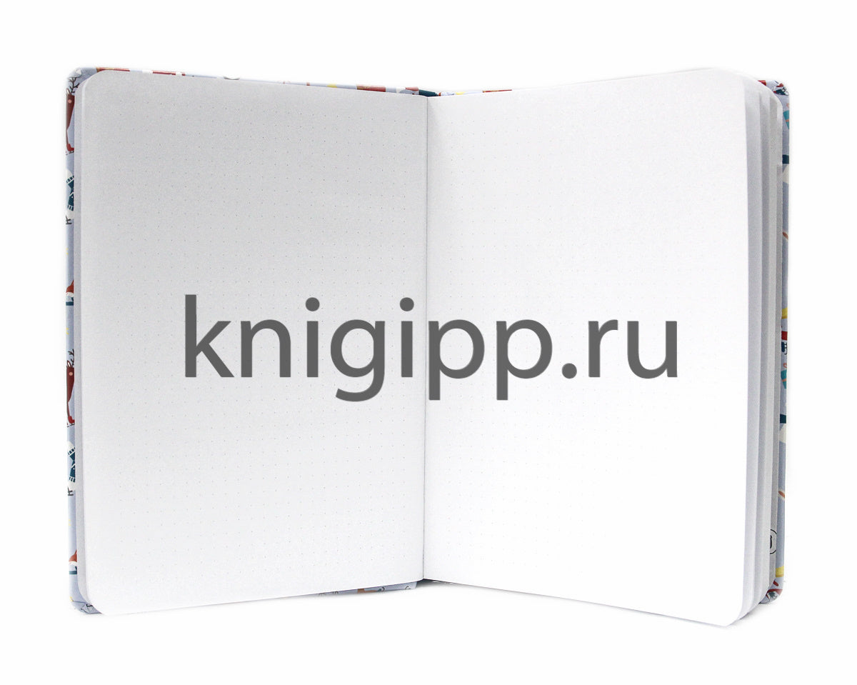 ТОЧКАБУК. ЗВЕРЯТА НА КАТКЕ