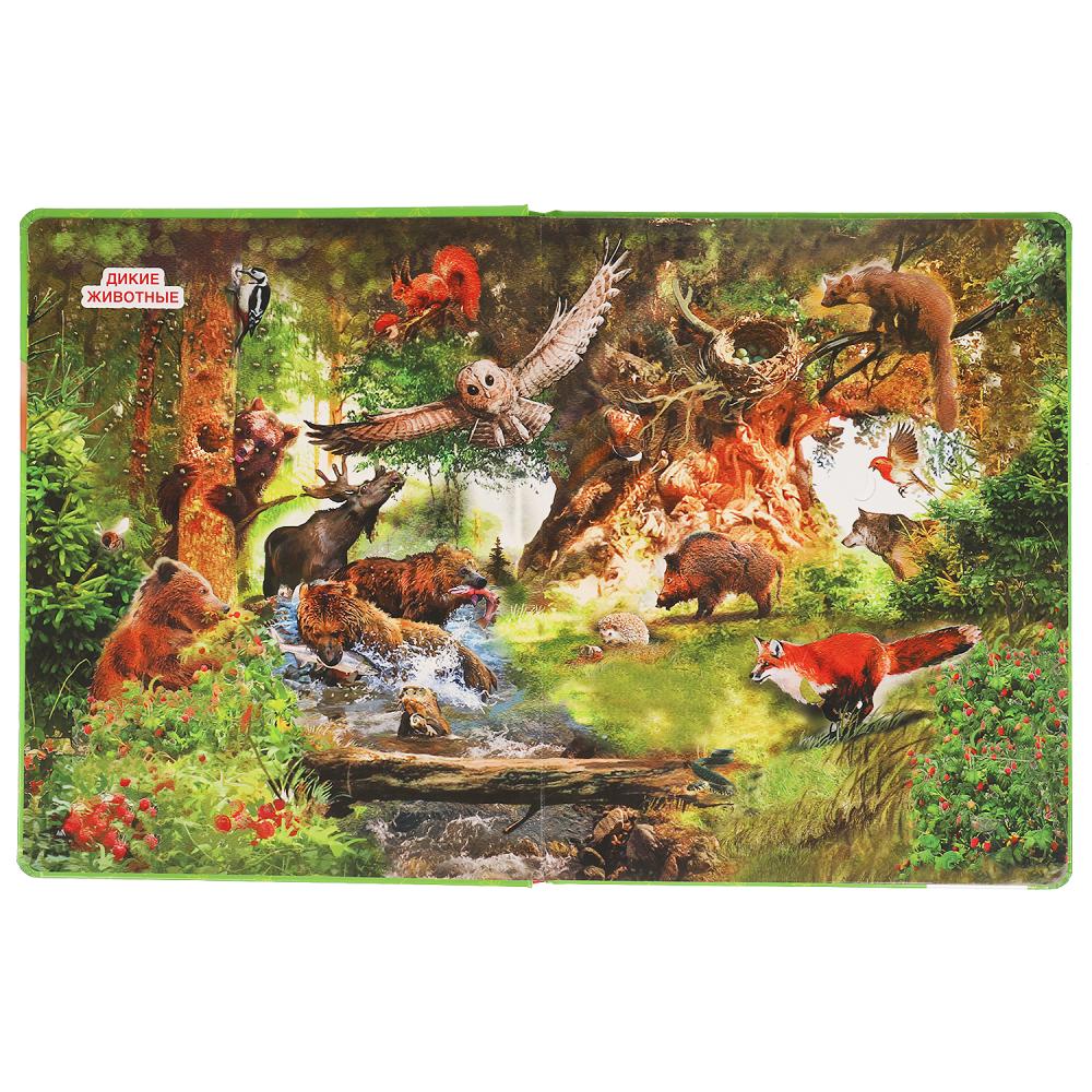 В мире животных. 100 секретных окошек для малышей. Формат: 222х282мм. 12 карт. стр. Умка в кор.12шт