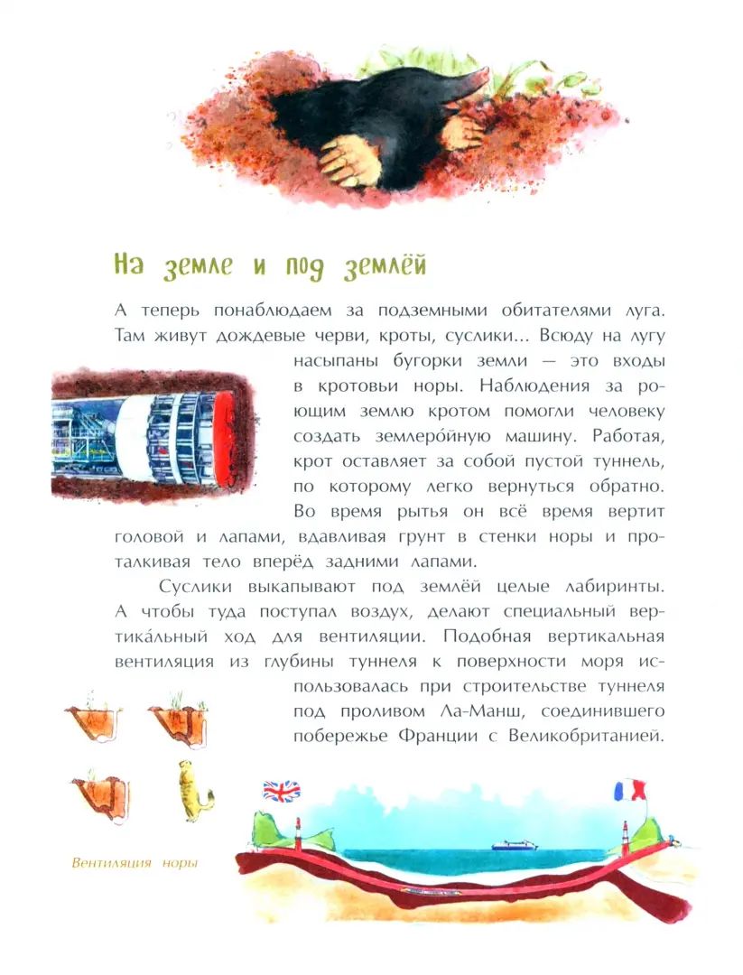 Подсмотрено у природы