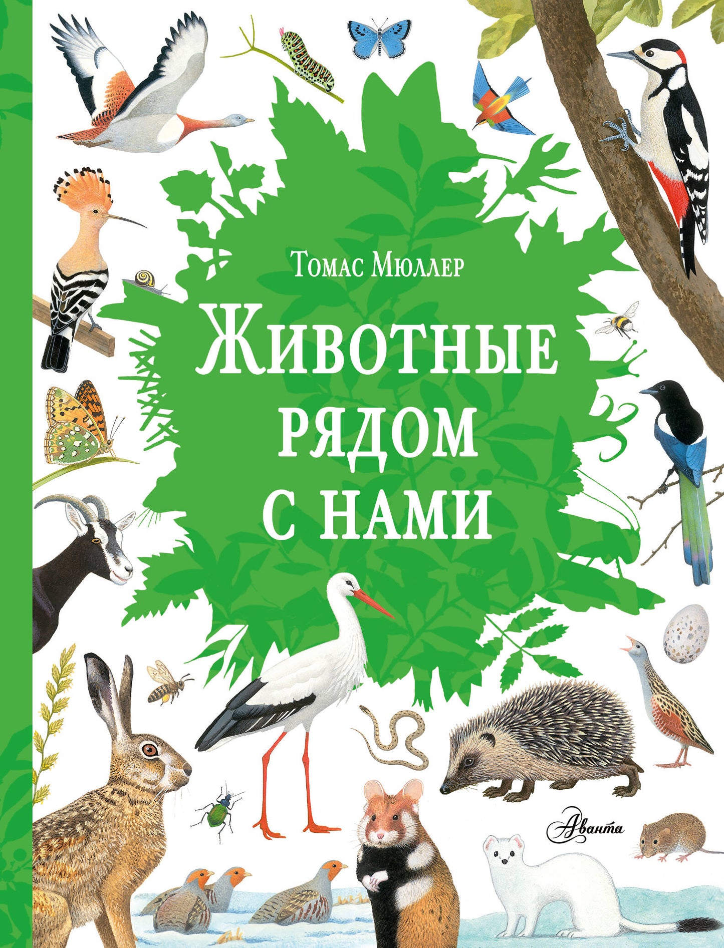 Животные рядом с нами