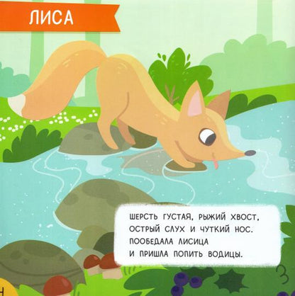 Лес: мини-энциклопедия для крохи