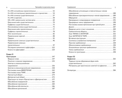 Тренажер по русскому языку. Орфография. Пунктуация. Орфоэпия
