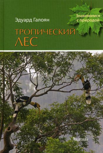 Тропический лес
