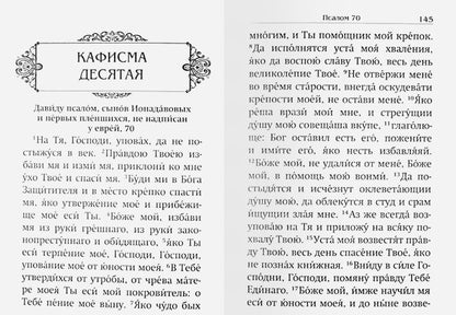 Псалтирь святого пророка и царя Давида. На русском языке
