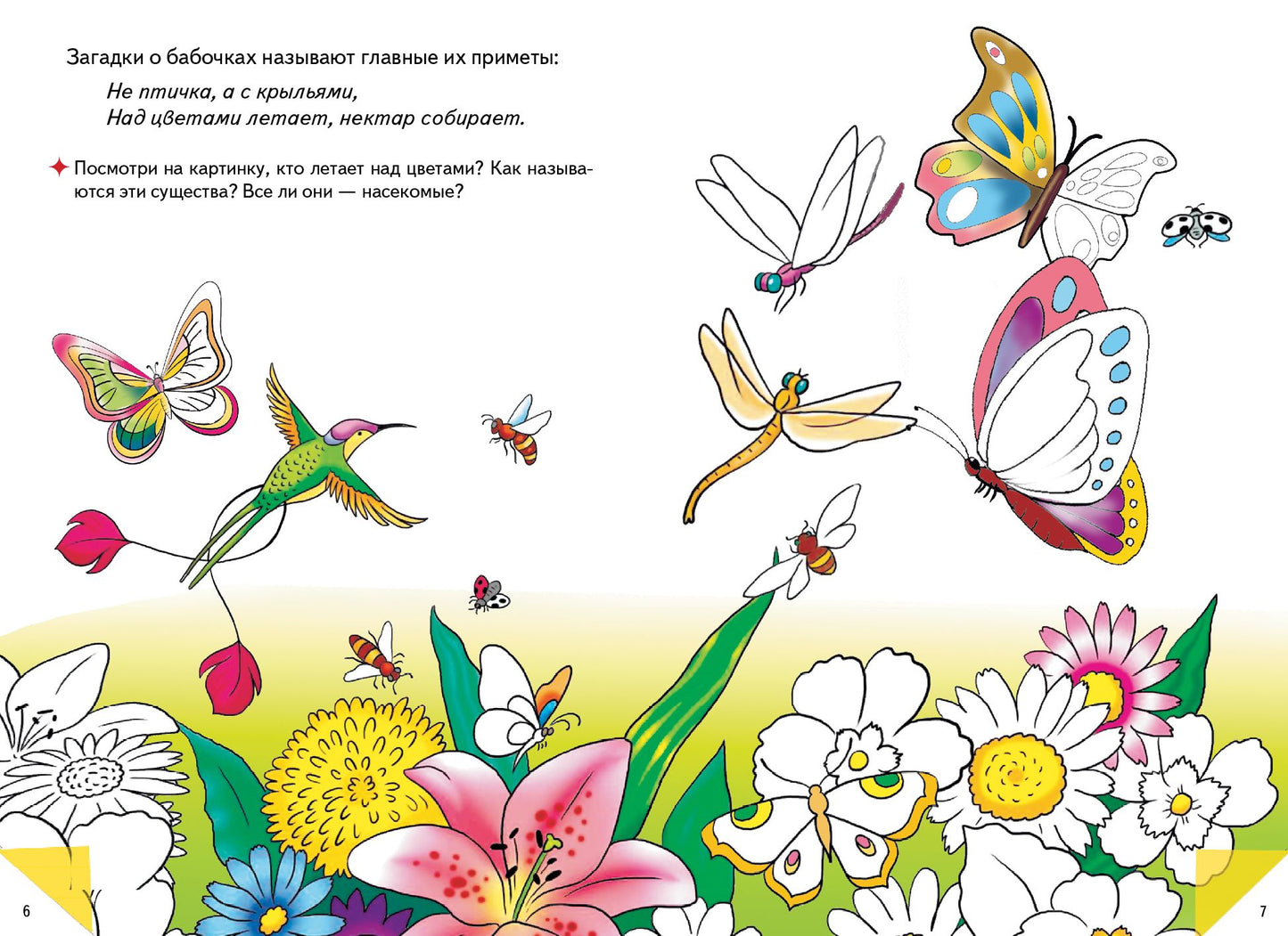 Самые красивые бабочки ; Самые красивые бабочки