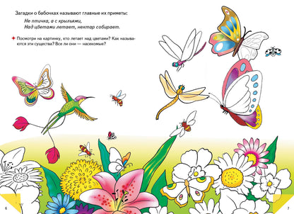 Самые красивые бабочки ; Самые красивые бабочки