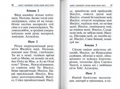 Les professeurs, les chefs des grands, les chefs et les autres