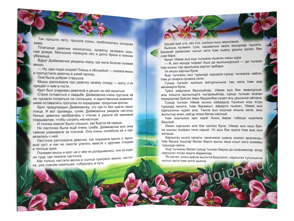 КНИГИ НА ТАТАРСКОМ. ÖкиятлÖр дÖньясы. Уймак кыз. Je suis en train de me cacher