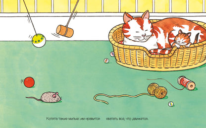 Домашние питомцы